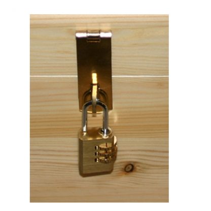 Brass tone hasp & staple/combination padlock