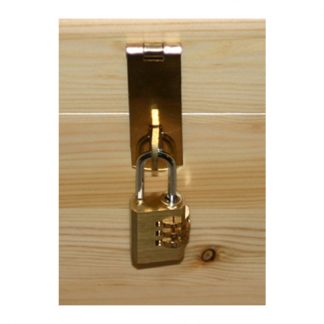 Brass Hasp & Staple/combination padlock